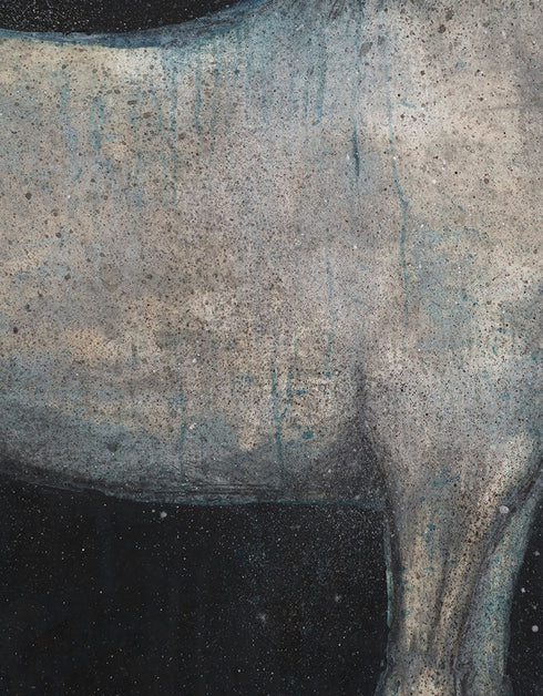 Horse | Framed Giclee Print on Canvas